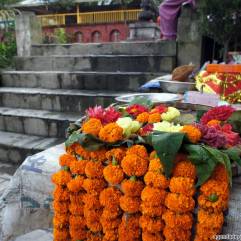sette giorni in nepal fiori offerte al dio vishnu vestizione cosa vedere nella valle di kathmandu