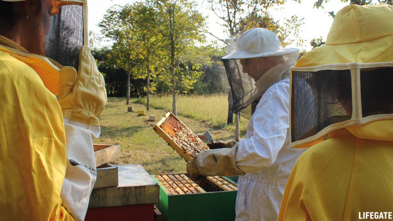 un apicoltore controlla gli alveari che ospitano le api del progetto bee my future di lifegate